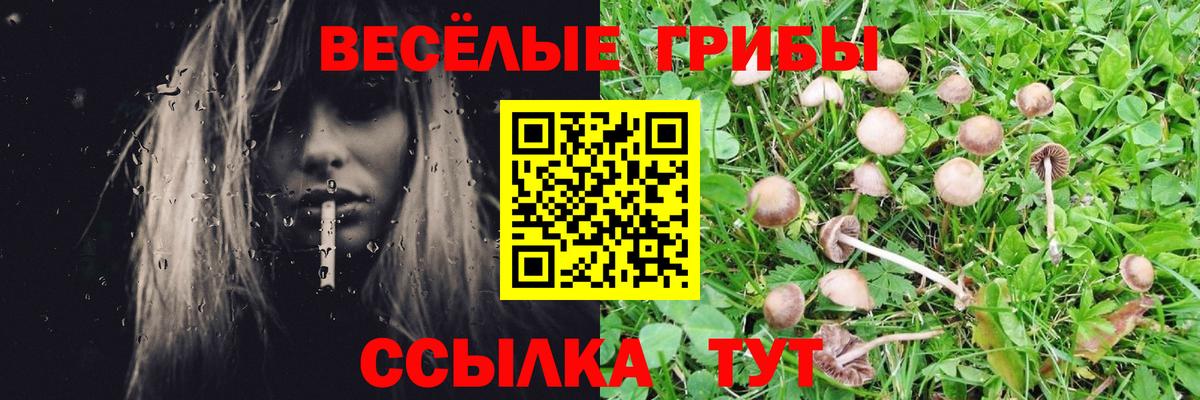 Галлюциногенные грибы мухоморы  Вход с VPN  Уссурийск  Псилоцибиновые грибы прущие грибы 