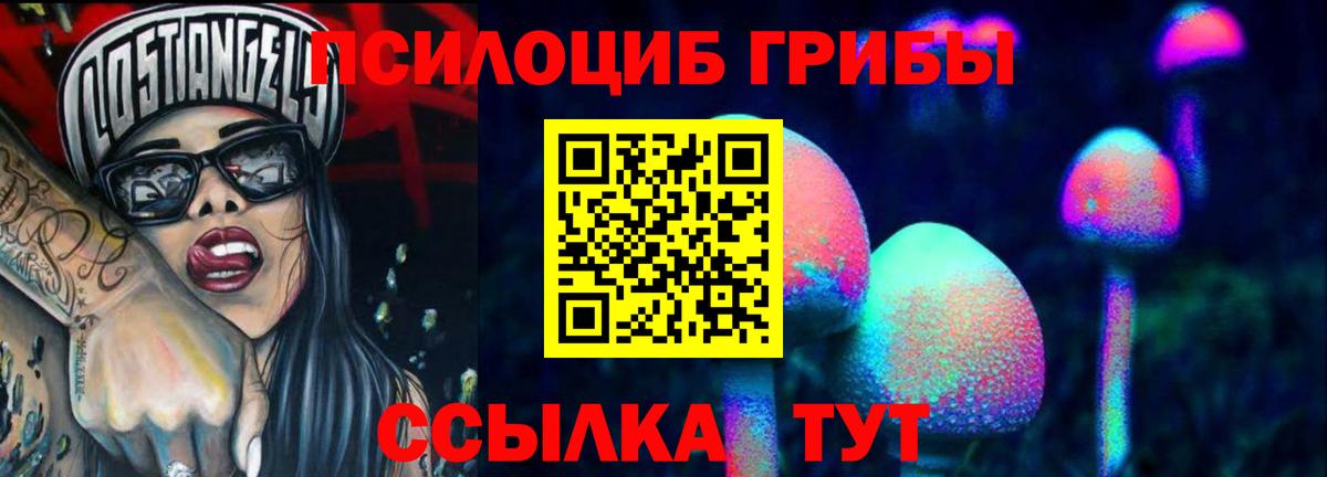Псилоцибиновые грибы Cubensis Уссурийск